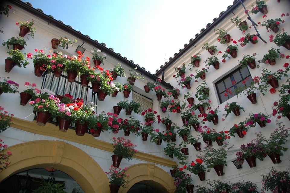 From Malaga and Costa Del Sol: Cordoba Day Trip - Practical tips that prevent the common “long day” headaches