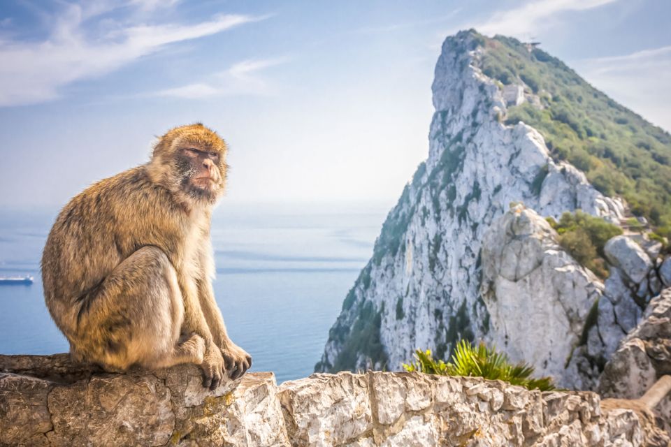 From Malaga and Costa del Sol: Gibraltar Shopping Tour - St. Michael’s Cave: the sightseeing you’ll remember more than the mall
