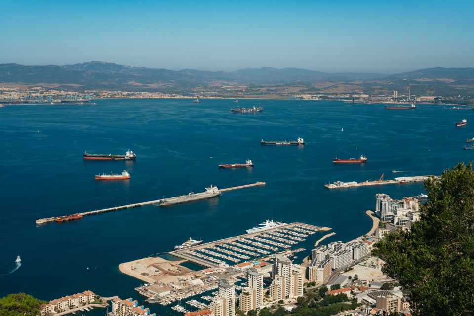 From Malaga and Costa del Sol: Gibraltar Tour - Who this tour suits best (and who should think twice)