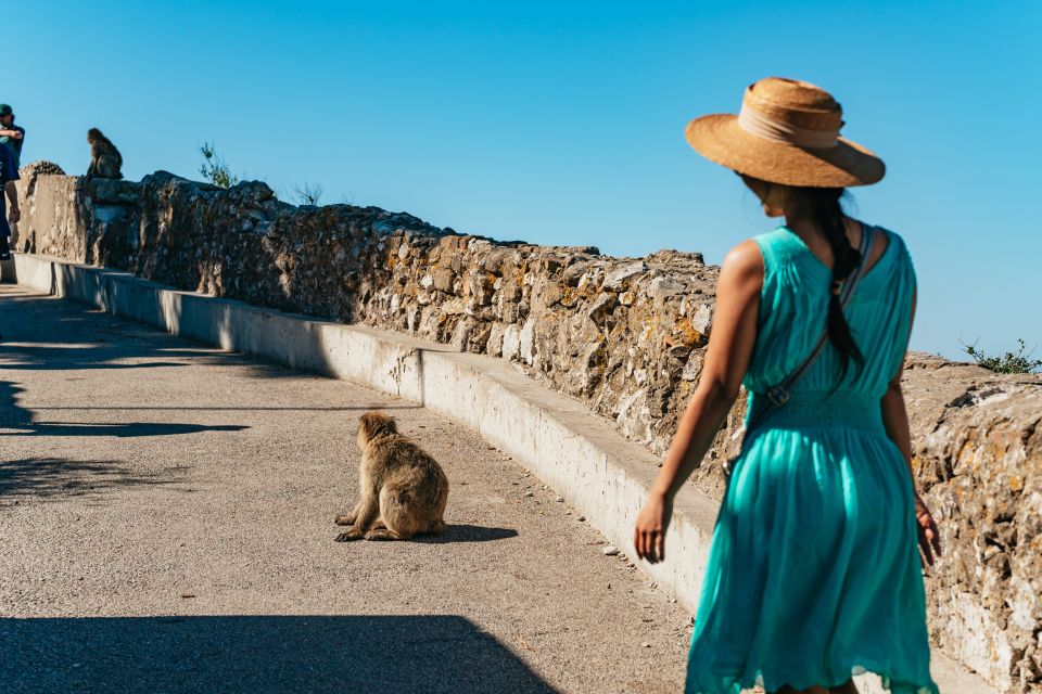 From Malaga and Costa del Sol: Gibraltar Tour - Why Gibraltar is such a smart day trip from the Costa del Sol