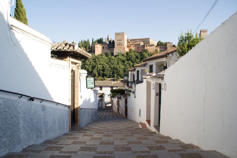 From Malaga and Costa Del Sol: Granada Day Trip - Key Points to Know Before You Go