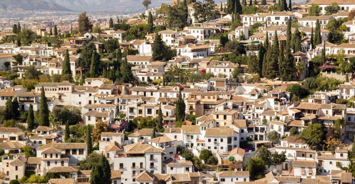 From Malaga and Costa Del Sol: Granada Day Trip - Granada by Coach: A Smart Way to Do It in One Long Day