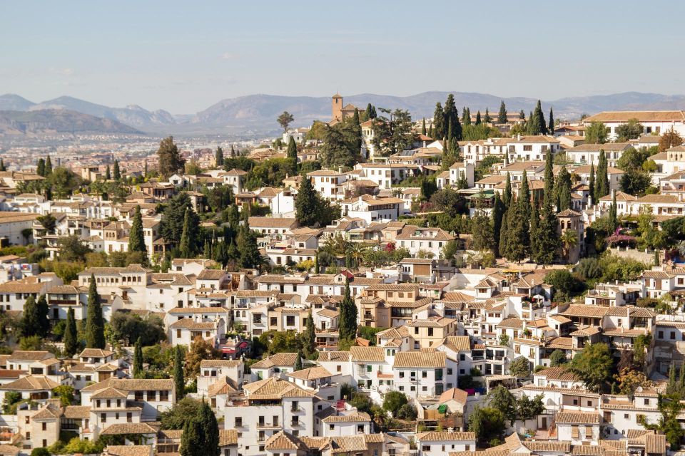 From Malaga and Costa Del Sol: Granada Day Trip - Morning Drive from Malaga and the Costa del Sol to Granada