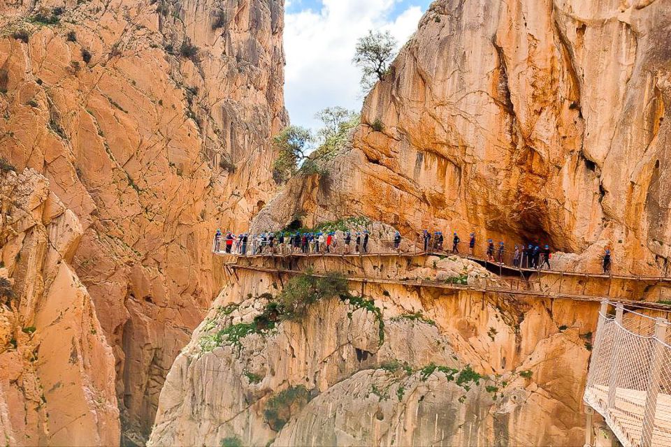 From Málaga: Caminito del Rey Guided Day Trip - Key highlights you’ll feel right away