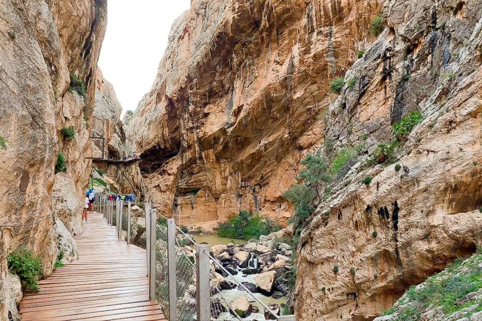 From Málaga: Caminito del Rey Guided Day Trip - Who should book this (and who should skip Caminito on a height day)