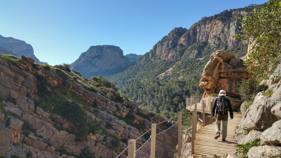 From Málaga: Caminito del Rey Small-Group Tour with Picnic - The Caminito del Rey walk: views, timing, and how to handle heights