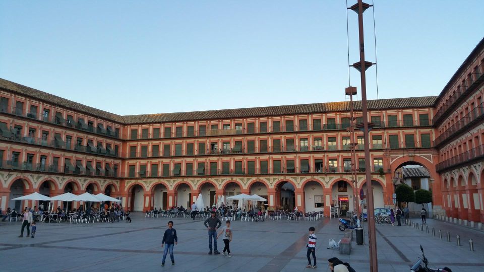 From Malaga: Cordoba Day Trip and Mosque-Cathedral - Food ideas (and what you should know): you’ll pay for meals yourself