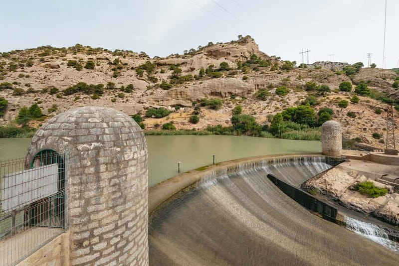 From Málaga & Costa del Sol: Caminito del Rey Guided Tour - Flora and fauna: the guide’s job is to help you actually see it