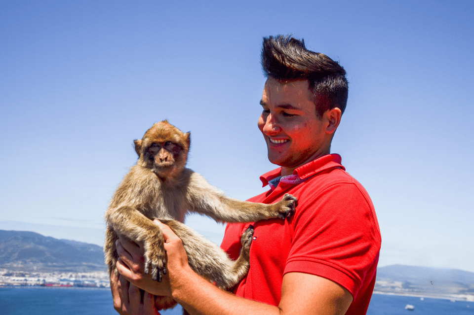 From Malaga: Full-Day Trip to Gibraltar - Your Gibraltar Free Time: Shopping, Orientation, and Picking Your Rock Plan