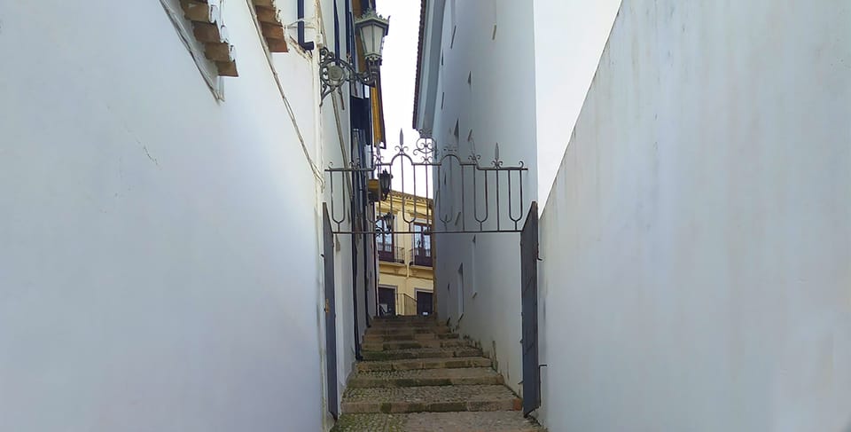 From Malaga: Ronda and Setenil Tour with Scenic Train - Small practical tips that make your day smoother
