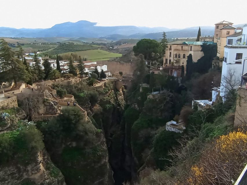 From Málaga: Ronda+Setenil de las Bodegas with Little Train - Should you book this Ronda and Setenil day trip?