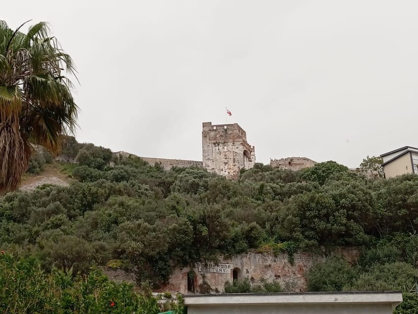 From Torremolinos: Day Trip to Gibraltar - WhatsApp Virtual Assistance: When the Plan Changes