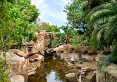 Fuengirola: Bioparc Entrance Ticket - Entering Bioparc: your “do this first” move