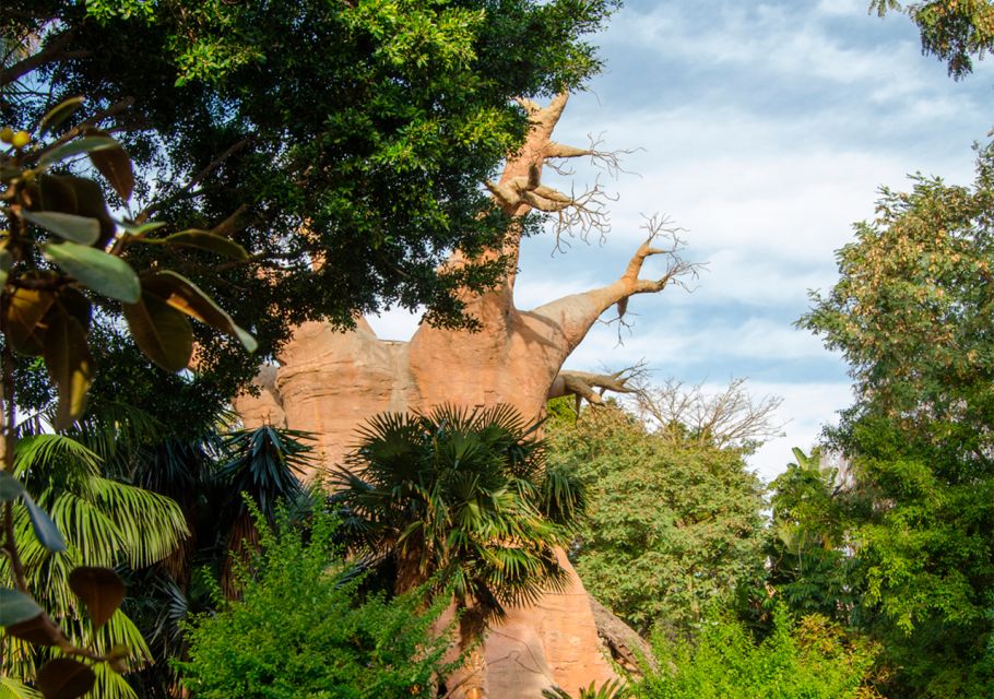 Fuengirola: Bioparc Entrance Ticket - Conservation that’s more than posters