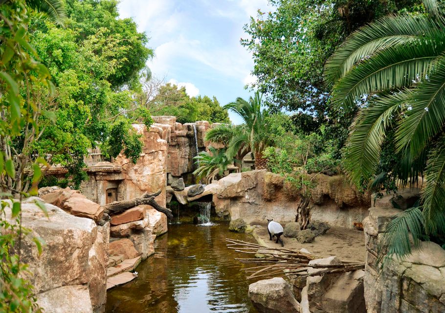 Fuengirola: Bioparc Entrance Ticket - Entering Bioparc: your “do this first” move