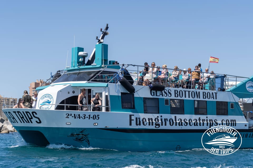Fuengirola: Catamaran Tour to Spot Dolphins - Key Points You’ll Care About