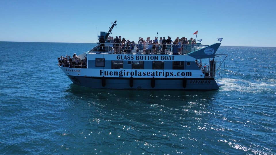 Fuengirola: Catamaran Tour to Spot Dolphins - Why This 2-Hour Dolphin Catamaran Fits Costa del Sol Holidays