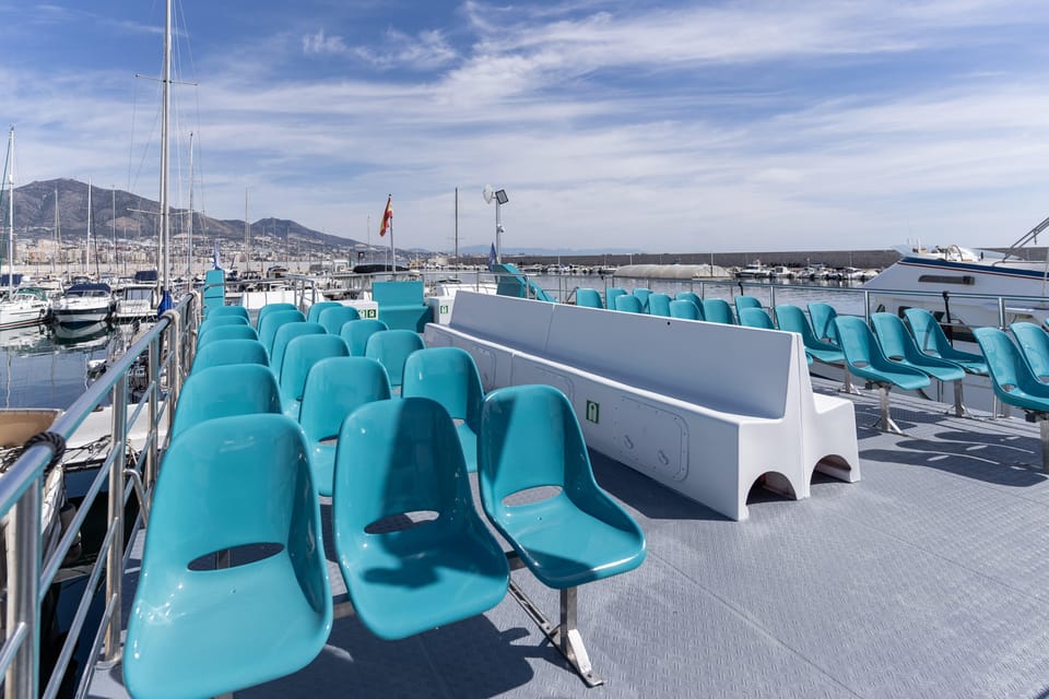 Fuengirola: Catamaran Tour to Spot Dolphins - Dolphin Watching Without the Cruise-Ship Vibe
