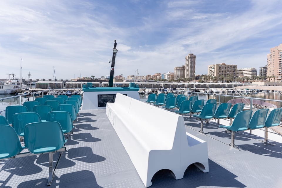 Fuengirola: Catamaran Tour to Spot Dolphins - Costa del Sol Views From the Sea: Why This Isn’t Just About Dolphins