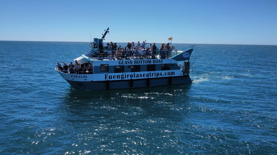 Fuengirola: Catamaran Tour to Spot Dolphins - Value Check: Is $21 a Good Deal in Fuengirola?