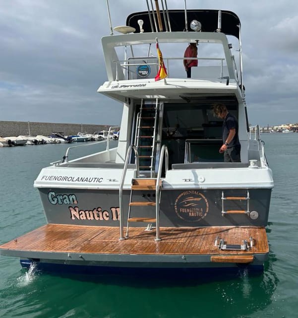 Fuengirola: Dolphin Spotting Tour - Swimming and Snorkeling: The Fun Part, With One Practical Reality