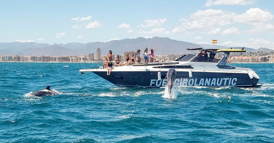 Fuengirola: Dolphin Watching by Yacht with Snacks and Drinks - Price and value: is $47 for 2 hours a smart buy?