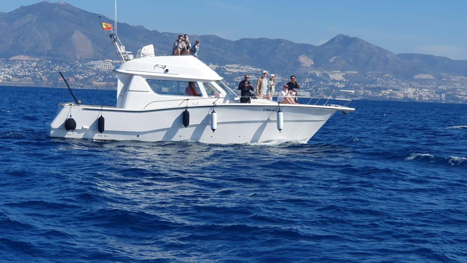 Fuengirola: Dolphin Watching Excursion with Refreshments - The crew vibe: personal help, not just announcements