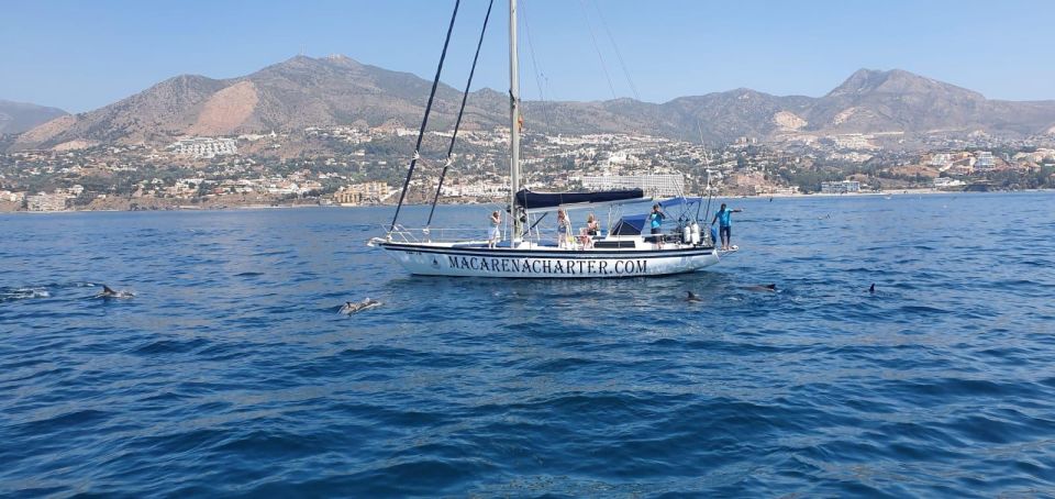 Fuengirola: Dolphin-Watching Sailing Tour with Drinks - A 2-Hour Dolphin Hunt Done the Right Way (Small Boat, Real Ocean)