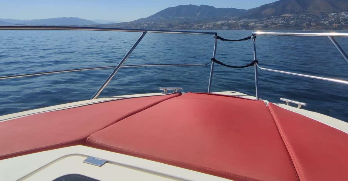 Fuengirola: Fantastic Dolphin Watching Yacht Tour with Drink - Key highlights you will actually feel on this tour