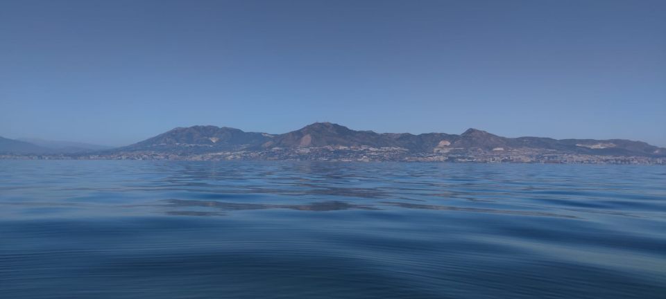 Fuengirola: Fantastic Dolphin Watching Yacht Tour with Drink - What to Bring so You’re Comfortable from Start to Splashdown