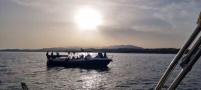 Fuengirola: Fantastic Dolphin Watching Yacht Tour with Drink - How the Dolphin Search Works on the Costa del Sol