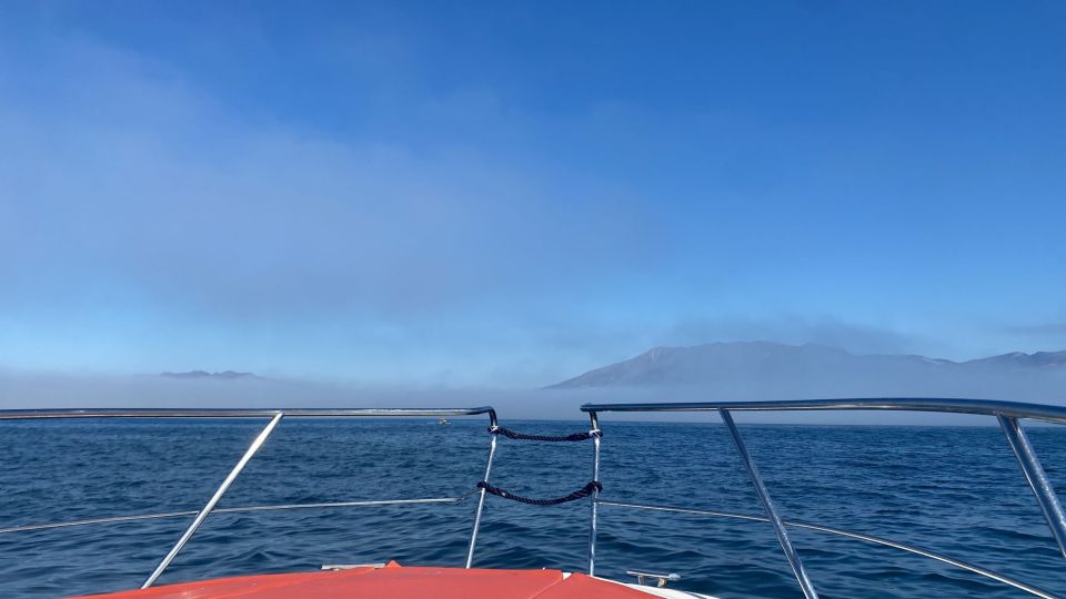 Fuengirola: Fantastic Dolphin Watching Yacht Tour with Drink - What the Live Commentary Adds (Beyond Just Finding Dolphins)