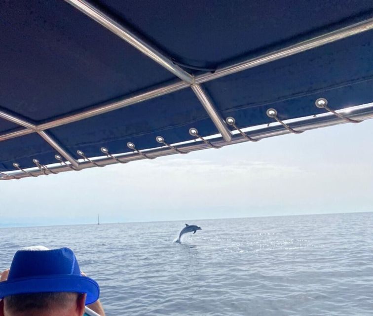 Fuengirola: Fantastic Dolphin Watching Yacht Tour with Drink - The Views You Get From the Water, Not From the Promenade