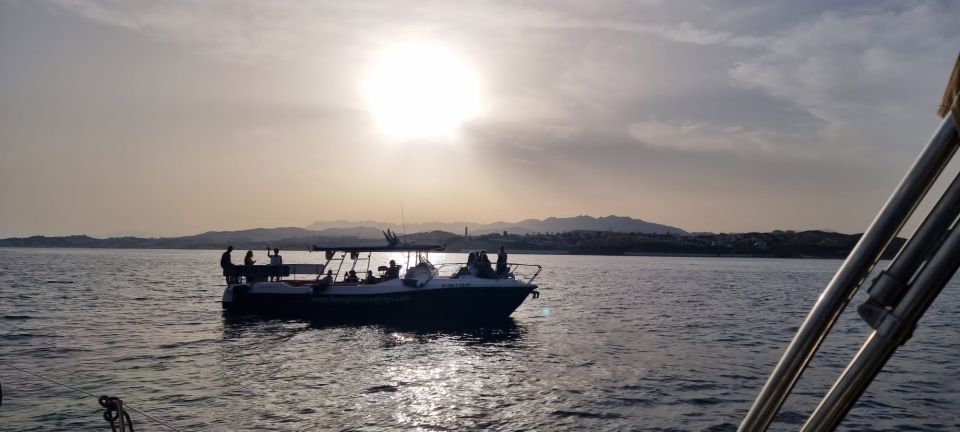 Fuengirola: Fantastic Dolphin Watching Yacht Tour with Drink - How the Dolphin Search Works on the Costa del Sol