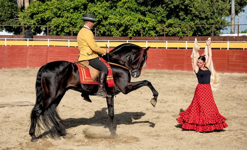Fuengirola: Spanish Horse Show with Optional Dinner/Flamenco - A Spanish horse-and-flamenco night, timed for real evening magic