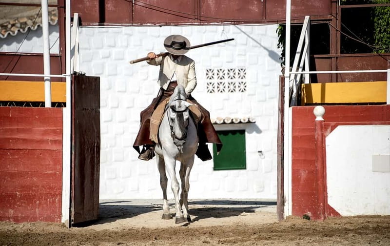 Fuengirola: Spanish Horse Show with Optional Dinner/Flamenco - Picking the right option: Full exp. is the whole point