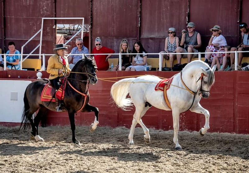 Fuengirola: Spanish Horse Show with Optional Dinner/Flamenco - A practical game plan for your Spanish night