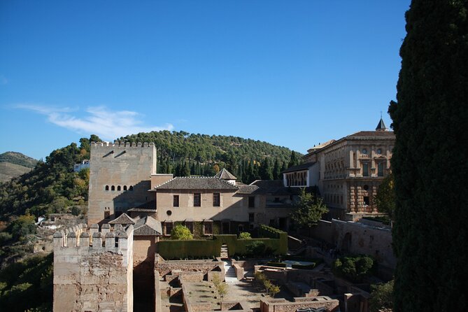 Full-Day Alhambra from Malaga: Choose Your Access & Pick Up Point - Nasrid Palaces option: the part you need to think about