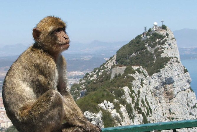 Gibraltar with St Michael Caves Guided Tour from Costa del Sol - Getting There From the Costa del Sol: Pickup Time and Coach Reality