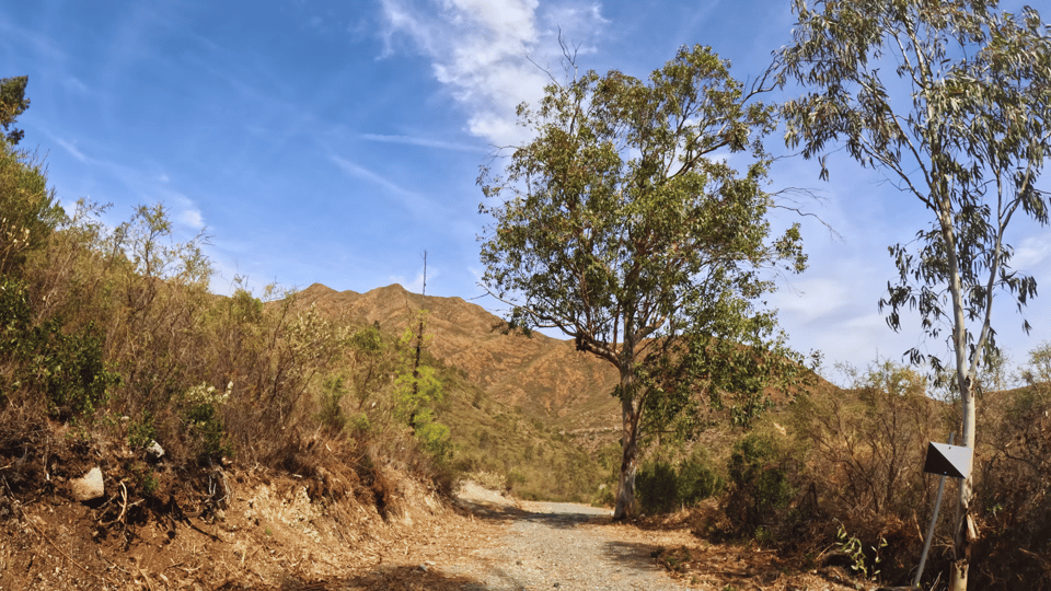 Guided Buggy Tour Mijas - Sierra de Mijas driving segments: the route style you’ll notice fast