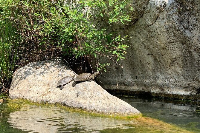 Guided Canyoning Adventure Near Marbella (Benahavís River Walk) - Gear, wetsuits, and socks: what matters most for comfort