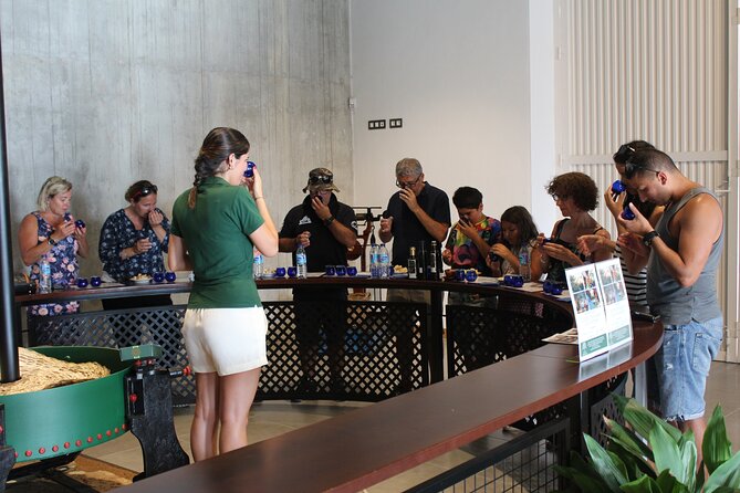Guided tour and olive oil tasting in Alhaurin el Grande (Málaga) - Key things I’d circle before you go