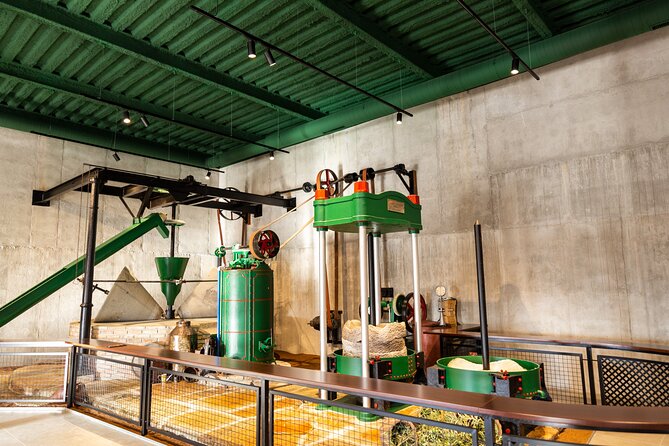 Guided tour and olive oil tasting in Alhaurin el Grande (Málaga) - Aceites Molisur in Alhaurín el Grande: what this tour is really about