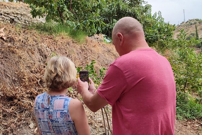 Guided Tour to the only coffee farm in Europe - Who should book this tour in Malaga?