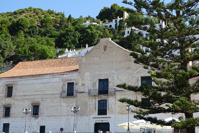 Guided Walking Tour of the Old Town of Frigiliana - Price and value: why $6.05 feels unusually fair