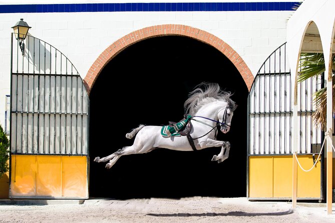 Horse and Flamenco Show in Malaga - Ritmo a Caballo at Club Hípico El Ranchito: what you’re really buying