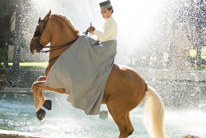 Horse and Flamenco Show in Malaga - Price and value: does $41.03 make sense in Malaga?