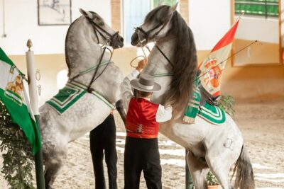 Horse and Flamenco Show in Malaga - Flamenco plus horsemanship: how the two parts fit together