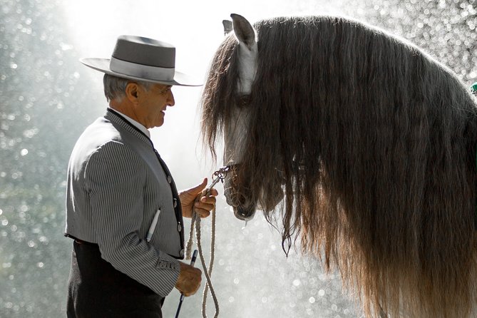 Horse and Flamenco Show in Malaga - Who this experience suits best