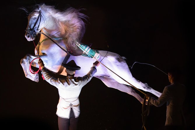 Horse and Flamenco Show in Malaga - One more thing: accessibility and comfort for different needs